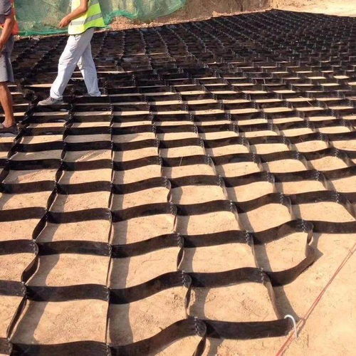 廣西百色田陽三維土工網墊廠家 集團實業公司格室的創新與應用