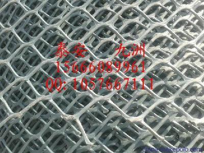 溫州高強度土工網(wǎng)與泰安九洲土工格室 規(guī)格齊全，應用廣泛