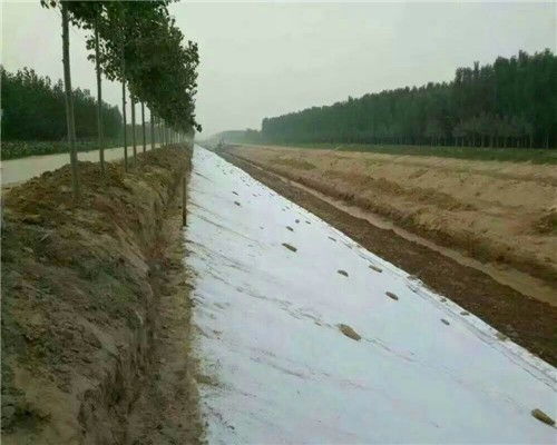 黃南300g護坡防水土工布 優質防護，當日發貨，歡迎選購與格柵搭配使用